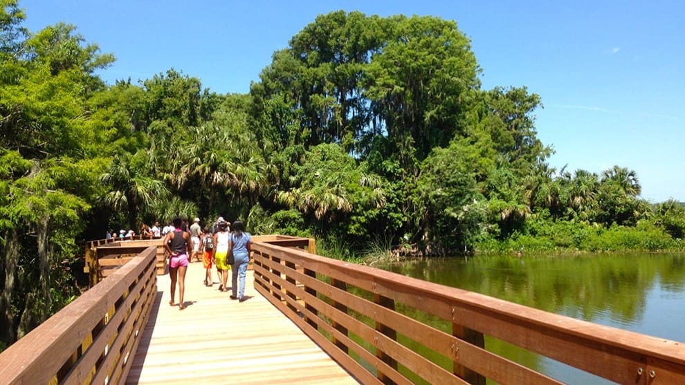 Mount Dora walking trails