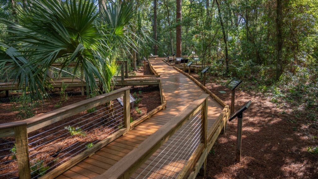 Mount Dora walking trails