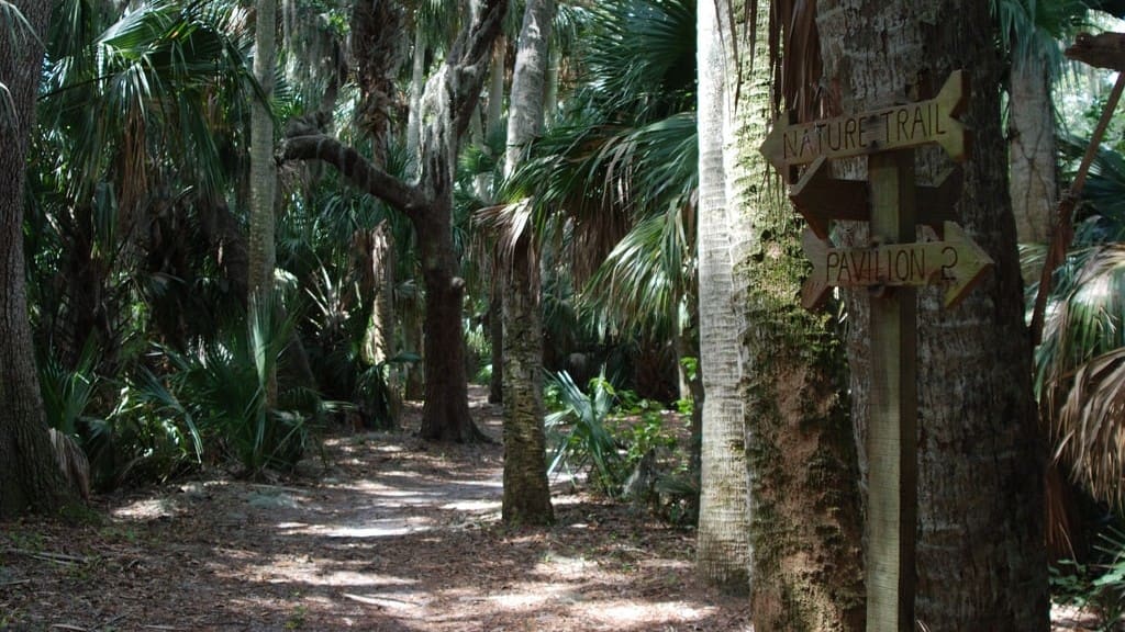 Mount Dora walking trails